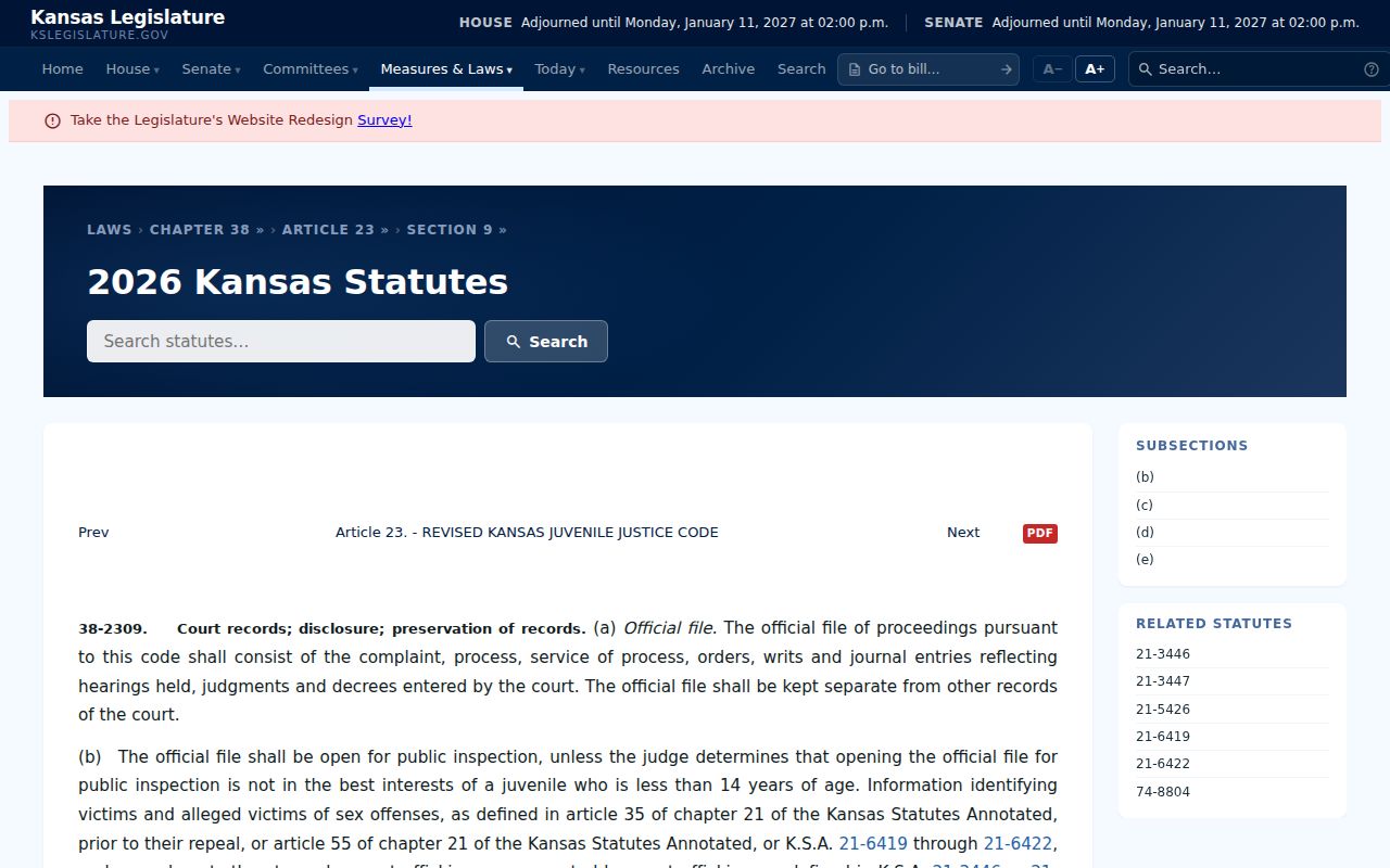 Washington County criminal docket juvenile file limits